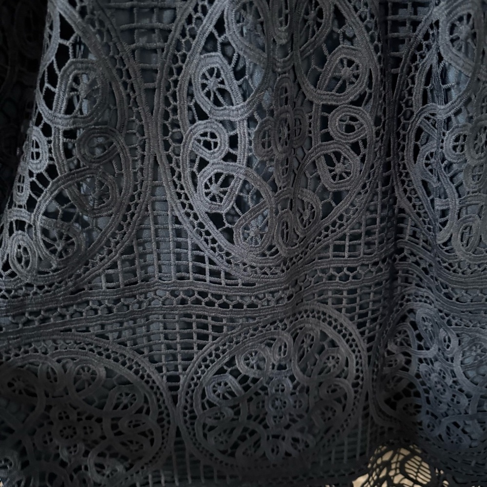 Elegant Navy Lace Dress - Picture 2 of 7